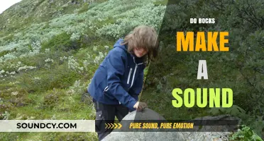 Do Rocks Make a Sound? Exploring the Science Behind Silent Stones