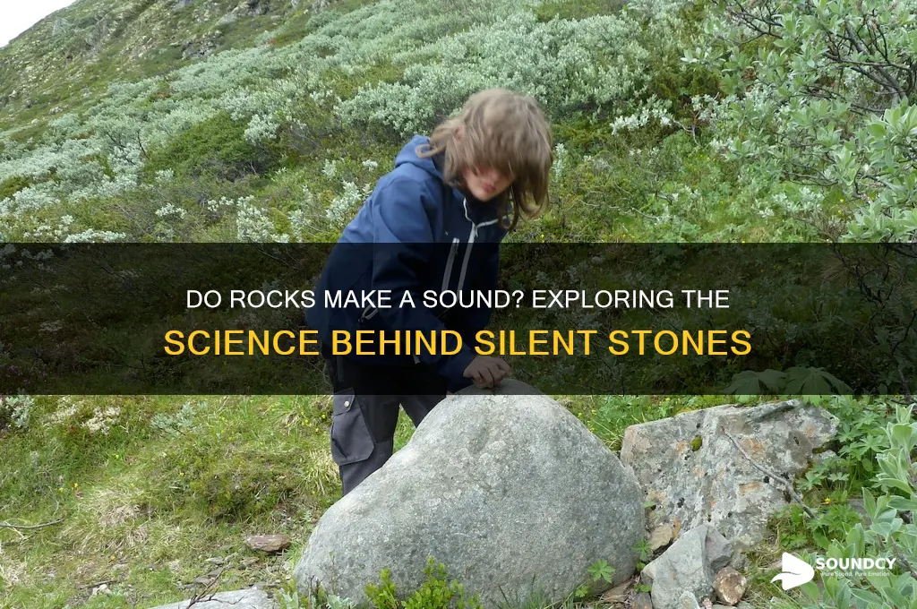 do rocks make a sound