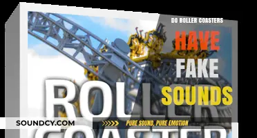 The Thrill of Roller Coasters: Are Those Sounds Real?