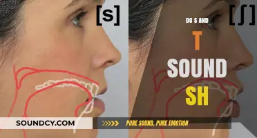 How to Distinguish 'Sh' from 'S' and 'T