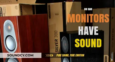 Do SAO Monitors Have Sound? Exploring Audio Features and Capabilities