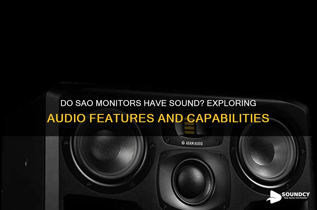 do sao monitors have sound