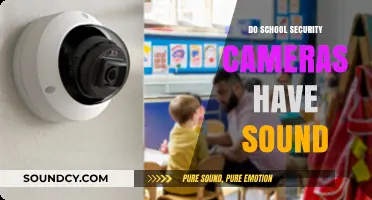 Security Cameras in Schools: Do They Record Audio?