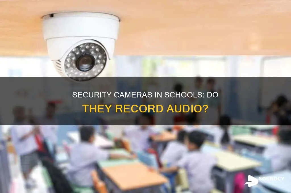 do school security cameras have sound