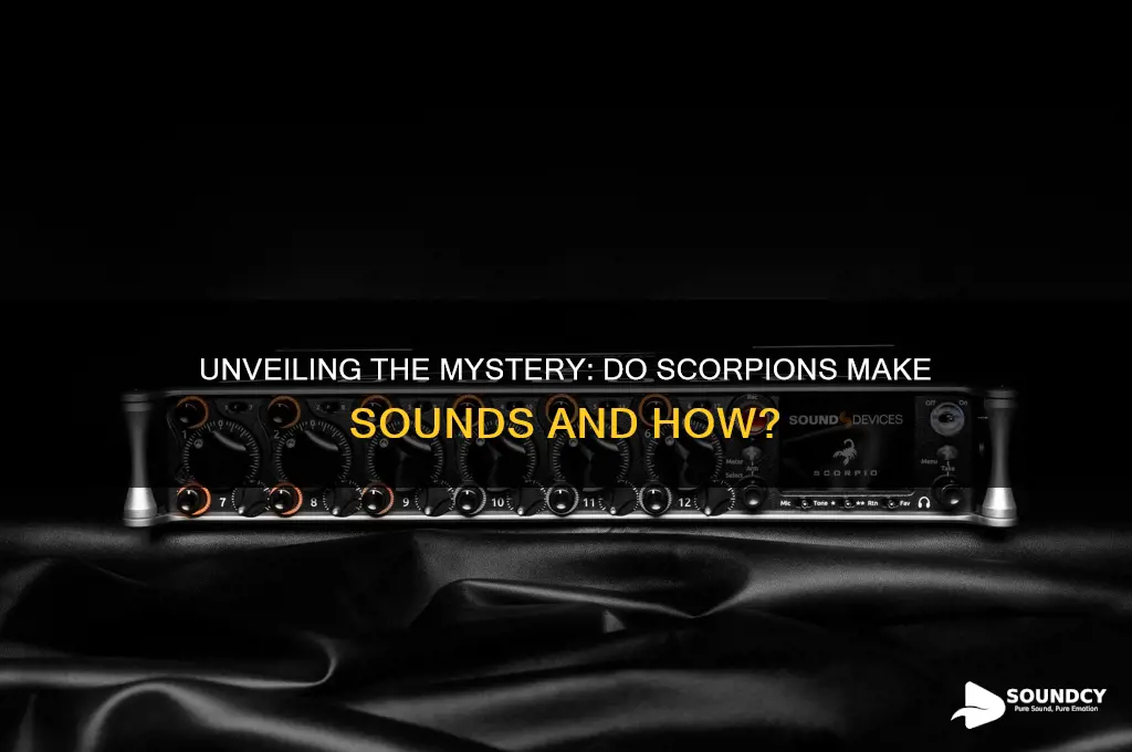 do scorpions make a sound