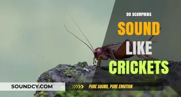 Scorpions vs. Crickets: Unraveling the Mystery of Their Distinct Sounds