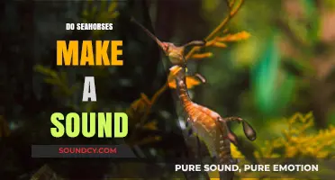 Unveiling the Mystery: Do Seahorses Make a Sound?