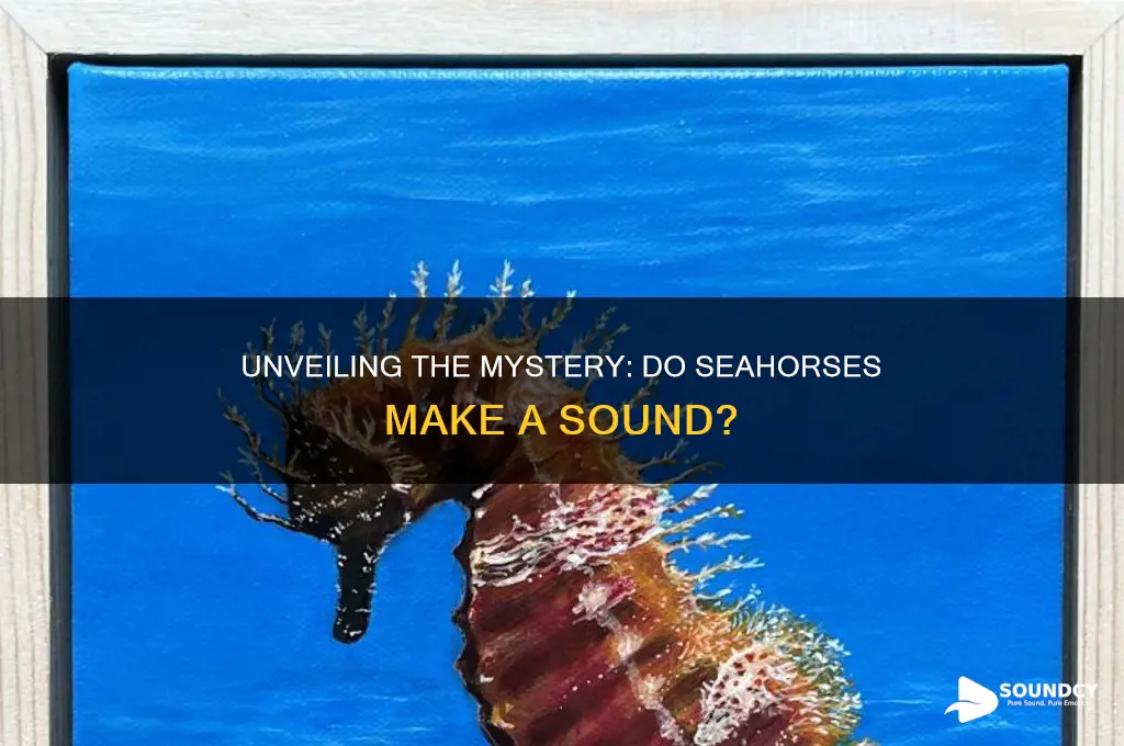 do seahorses make a sound