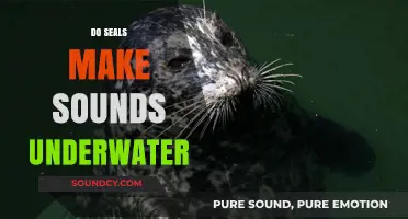 Unveiling the Mystery: Do Seals Communicate Underwater with Sounds?