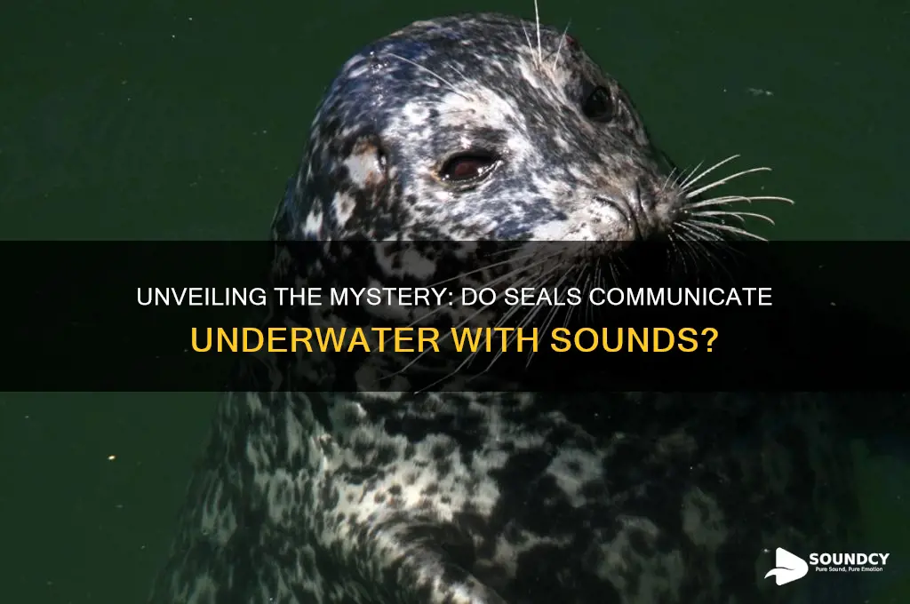 do seals make sounds underwater