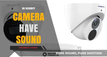 Do Security Cameras Have Sound? Exploring Audio Features in Surveillance Systems