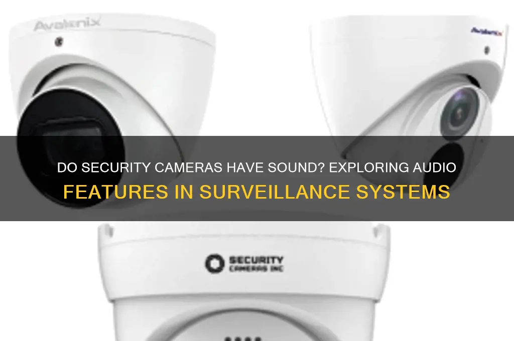 do security camera have sound