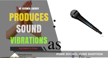 Seismic Energy: Sound Vibrations and Their Sources