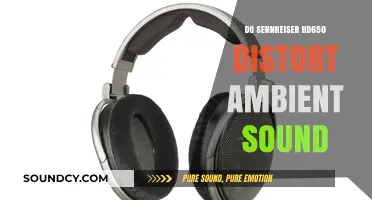 Sennheiser HD650: Distorting Reality with Every Beat