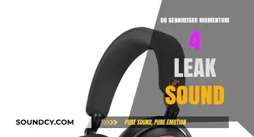 Sennheiser Momentum 4: Sound Leakage Issues?