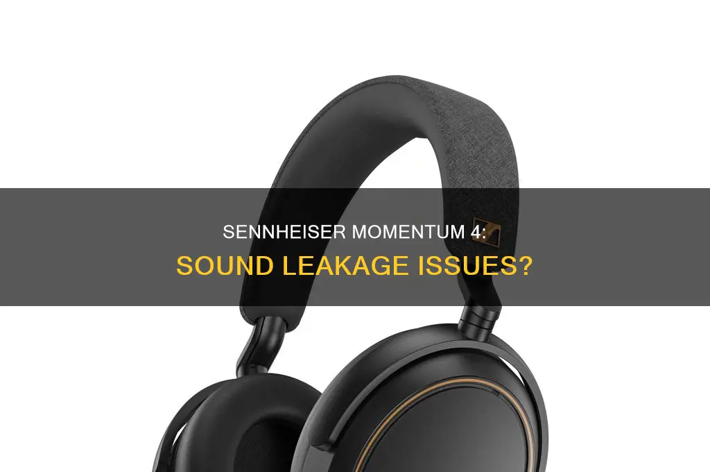 do sennheiser momentum 4 leak sound