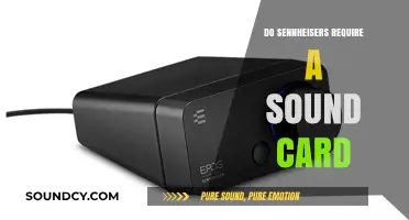 Sound Cards and Sennheisers: Do They Need Each Other?