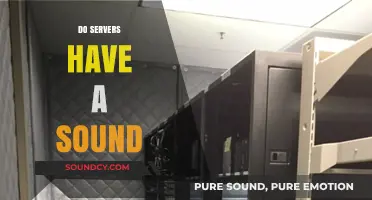 Unveiling the Truth: Do Servers Emit Audible Sounds?