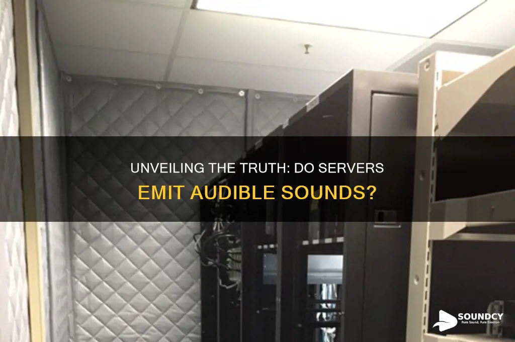 do servers have a sound