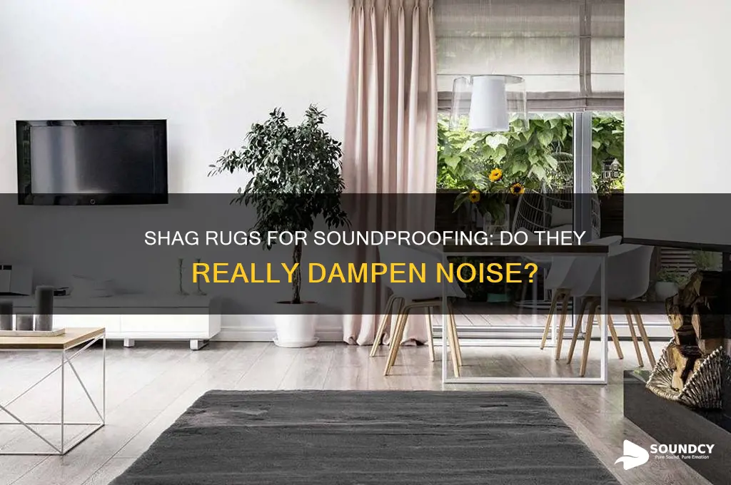 do shag rugs dampen sound