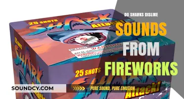 Fireworks and Sharks: A Noisy Nightmare?