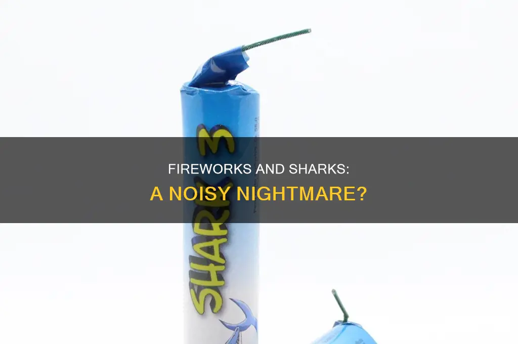 do sharks dislike sounds from fireworks