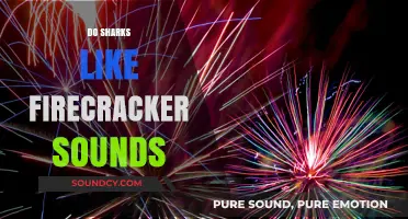 Do Sharks React to Firecracker Sounds? Unraveling the Aquatic Mystery