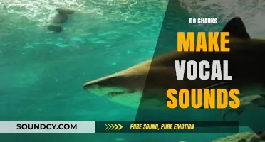 Unveiling the Mystery: Do Sharks Communicate Through Vocal Sounds?