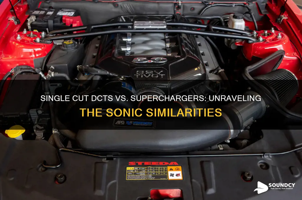 do single cut dct