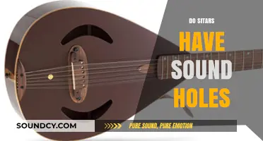Exploring Sitar Design: The Role and Purpose of Sound Holes