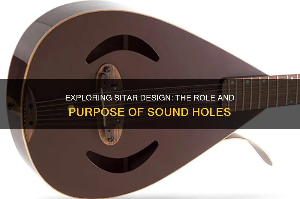 do sitars have sound holes