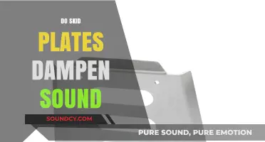 Do Skid Plates Reduce Noise? Exploring Sound Dampening Effects