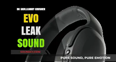 Skullcandy Crusher Evo: Sound Leak Issues?