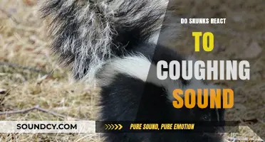 Skunks React to Coughing: What You Need to Know