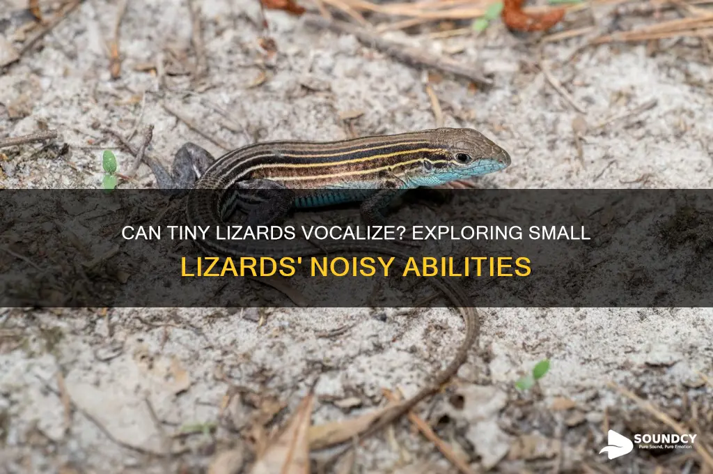 do small lizards make sounds