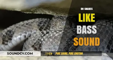 Do Snakes Respond to Bass Sounds? Exploring the Science Behind It