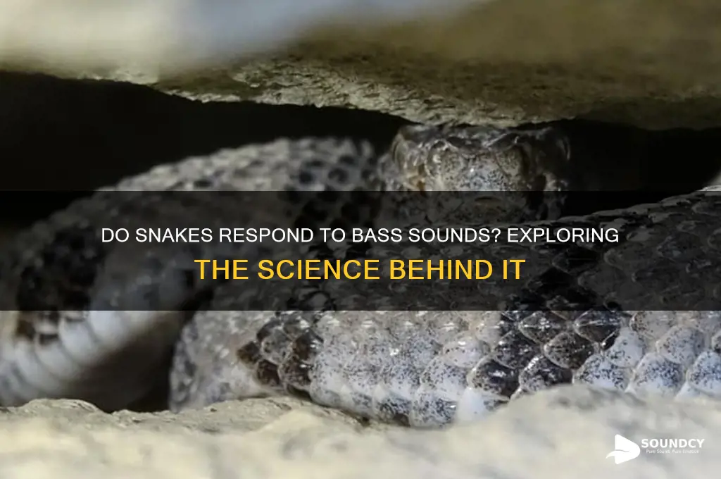 do snakes like bass sound