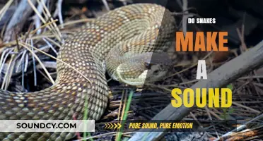 Unveiling the Truth: Do Snakes Make Sounds and How?