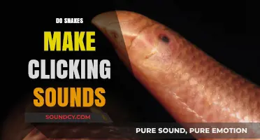 Do Snakes Click? Unraveling the Mystery of Snake Sounds