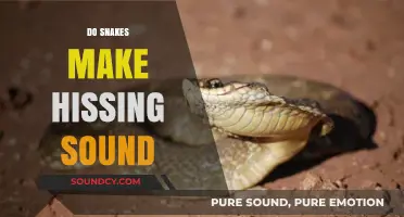 Do Snakes Hiss? Unraveling the Mystery Behind Their Iconic Sound