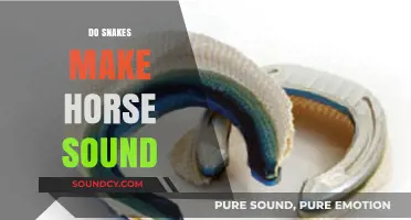 Unraveling the Myth: Do Snakes Really Mimic Horse Sounds?