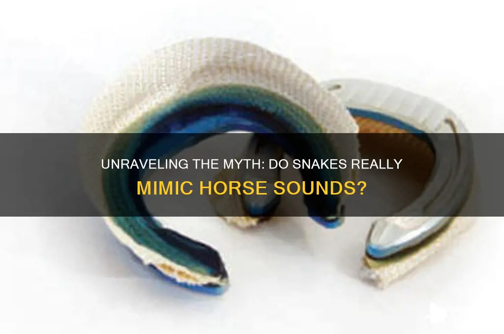 do snakes make horse sound