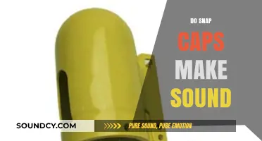 Do Snap Caps Make Noise? Exploring Their Sound Effects in Firearms