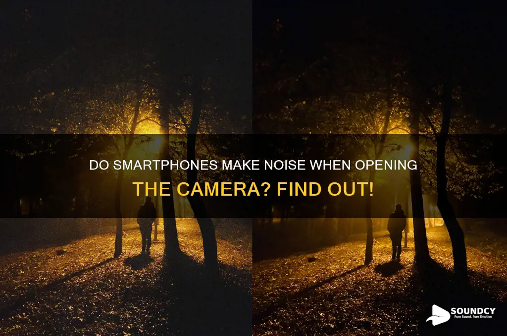 do snarrphones make a sound when you ooen cmera