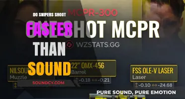 Sniper Shots: Faster Than Sound?