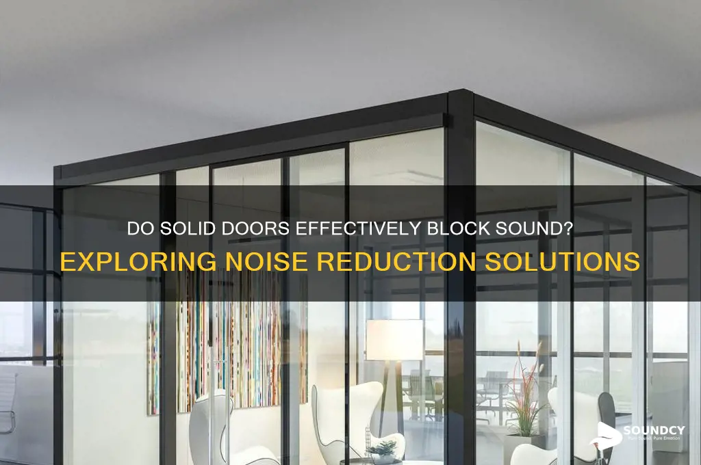 do solid doors block sound