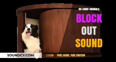 How Animals Block Out Unwanted Noises