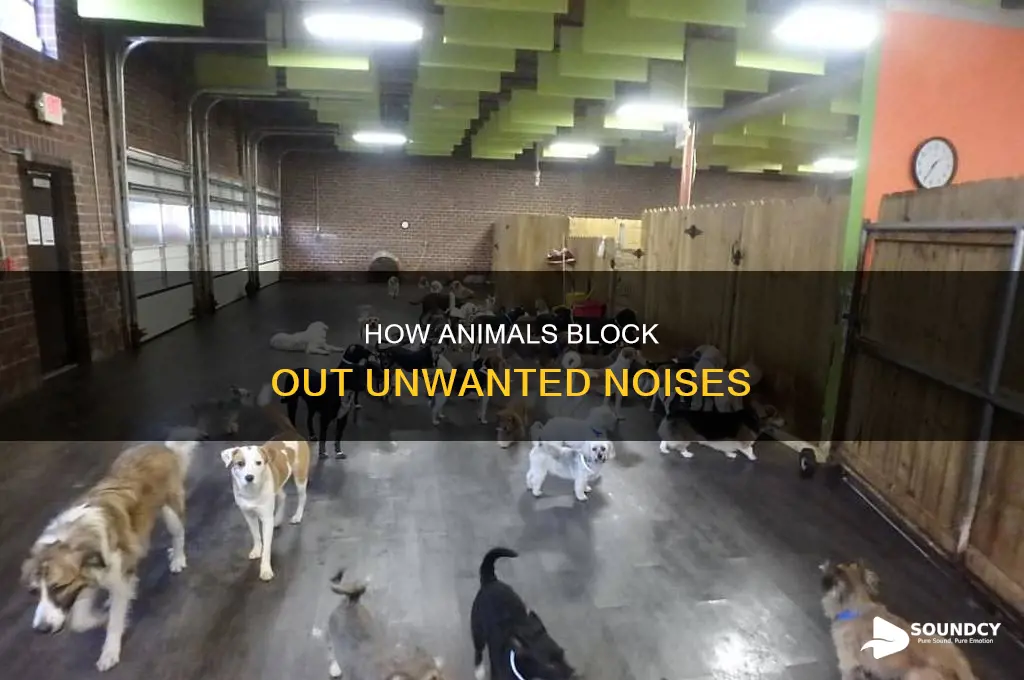 do some animals block out sound