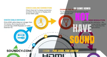 HDMI's Hidden Sound Issues: Why No Audio?