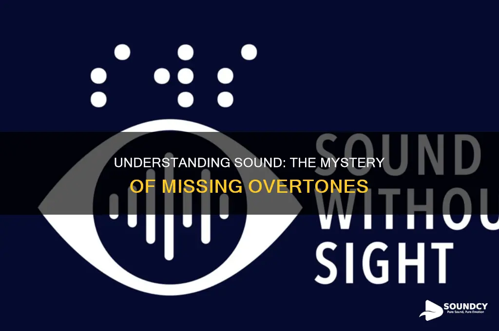 do some sounds not have overtones